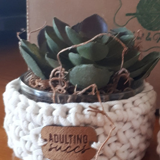Say It With Succulents